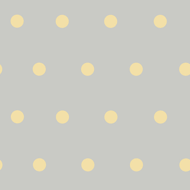 Kenley Peach Polka Dots Wallpaper by Chesapeake Christel Covers about 56.4 square feet 20.5-in by 33-ft long roll Prepasted 20.5 - Fabric Carolina -