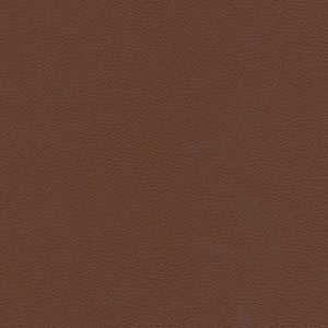 Catalyst-Nj # 516 Thoroughbred by Maxwell Fabric