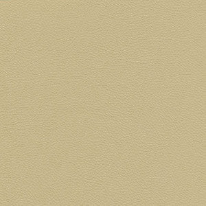 Catalyst-Nj # 518 Gesso by Maxwell Fabric