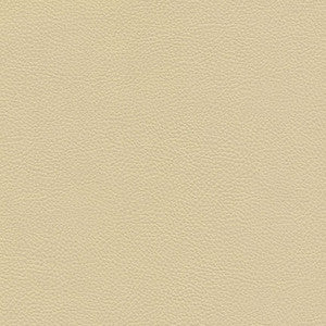 Catalyst-Nj # 522 Marzipan by Maxwell Fabric