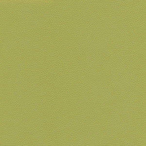 Catalyst-Nj # 525 Citrus by Maxwell Fabric