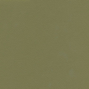 Catalyst-Nj # 530 Sage by Maxwell Fabric