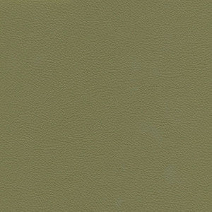 Catalyst-Nj # 530 Sage by Maxwell Fabric