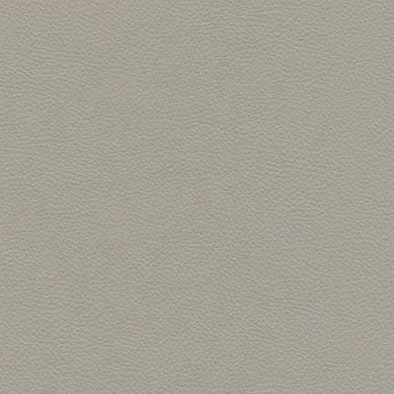 Catalyst-Nj # 531 Castor by Maxwell Fabric Memos Only-Coated Fabrics FACE: 100% SILICONE
BACKING: 100% POLYESTER KOREA 54" - Fabric Carolina -