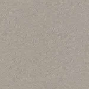 Catalyst-Nj # 531 Castor by Maxwell Fabric