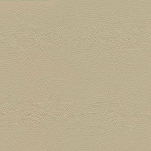 Catalyst-Nj # 534 Sahara by Maxwell Fabric