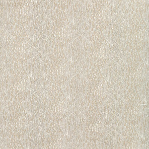 Chromis Oyster by Kravet Fabric