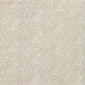 Chromis Oyster by Kravet Fabric