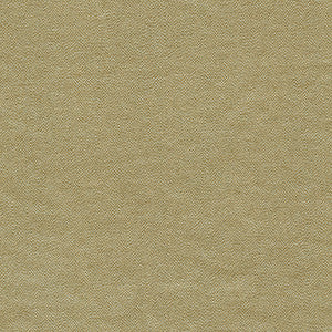 Composition-Nj 556 Bubbly by Maxwell Fabric