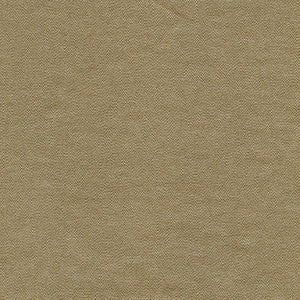 Composition-Nj # 566 Fieldstone by Maxwell Fabric