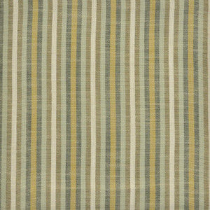 Colonnade # 908 Campground by Maxwell Fabric