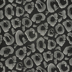 Coquina # 816 Domino by Maxwell Fabric