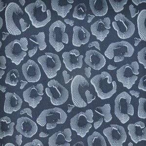 Coquina # 940 Lake by Maxwell Fabric
