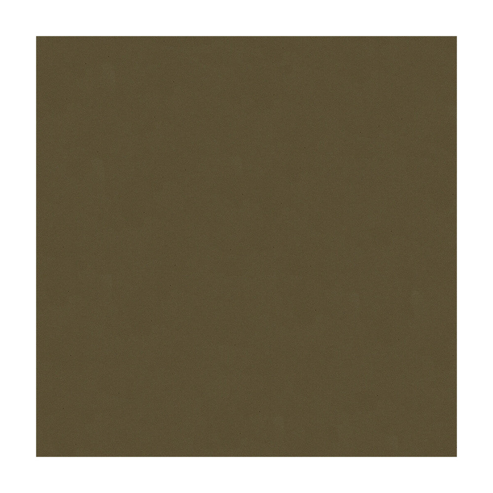Cielo-11 by Kravet Design Fabric ULTRALEATHER PLUS IV POLYURETHANE - 100% Japan HEAVY Horizontal: and Vertical: 54 - Fabric Carolina -