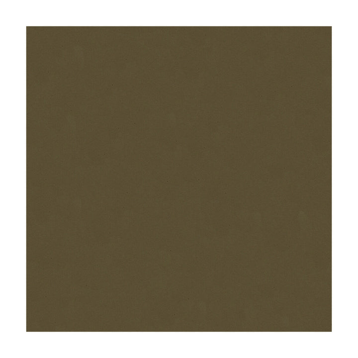 Cielo-11 by Kravet Design Fabric ULTRALEATHER PLUS IV POLYURETHANE - 100% Japan HEAVY Horizontal: - and Vertical: - 54 - Fabric Carolina -