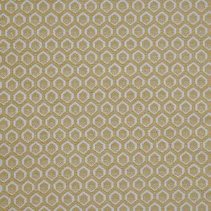 Cadboro # 907 Pomelo by Maxwell Fabric
