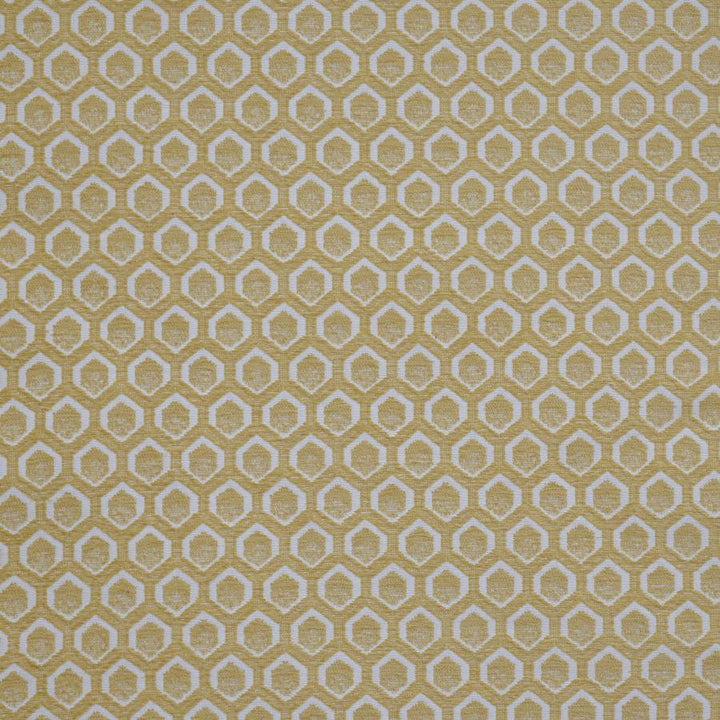 Cadboro # 907 Pomelo by Maxwell Fabric Performance Wovens-Vol. Vii Tidepool 100% UV POLYESTER USA V-2.1" H-1.3" 57" - Fabric Carolina -