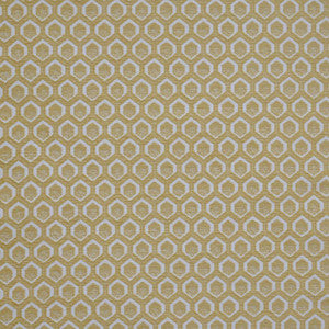 Cadboro # 907 Pomelo by Maxwell Fabric