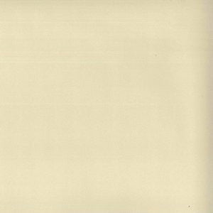 Circus Ecru by Norbar Fabric ENVICTA 100% POLYURETHANE KOREA 200,000 WYZENBEEK </p><p>Repeat: 54 - Fabric Carolina -