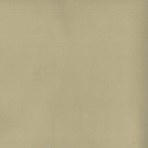 Circus Ermine by Norbar Fabric ENVICTA 100% POLYURETHANE KOREA 200,000 WYZENBEEK </p><p>Repeat: 54 - Fabric Carolina -