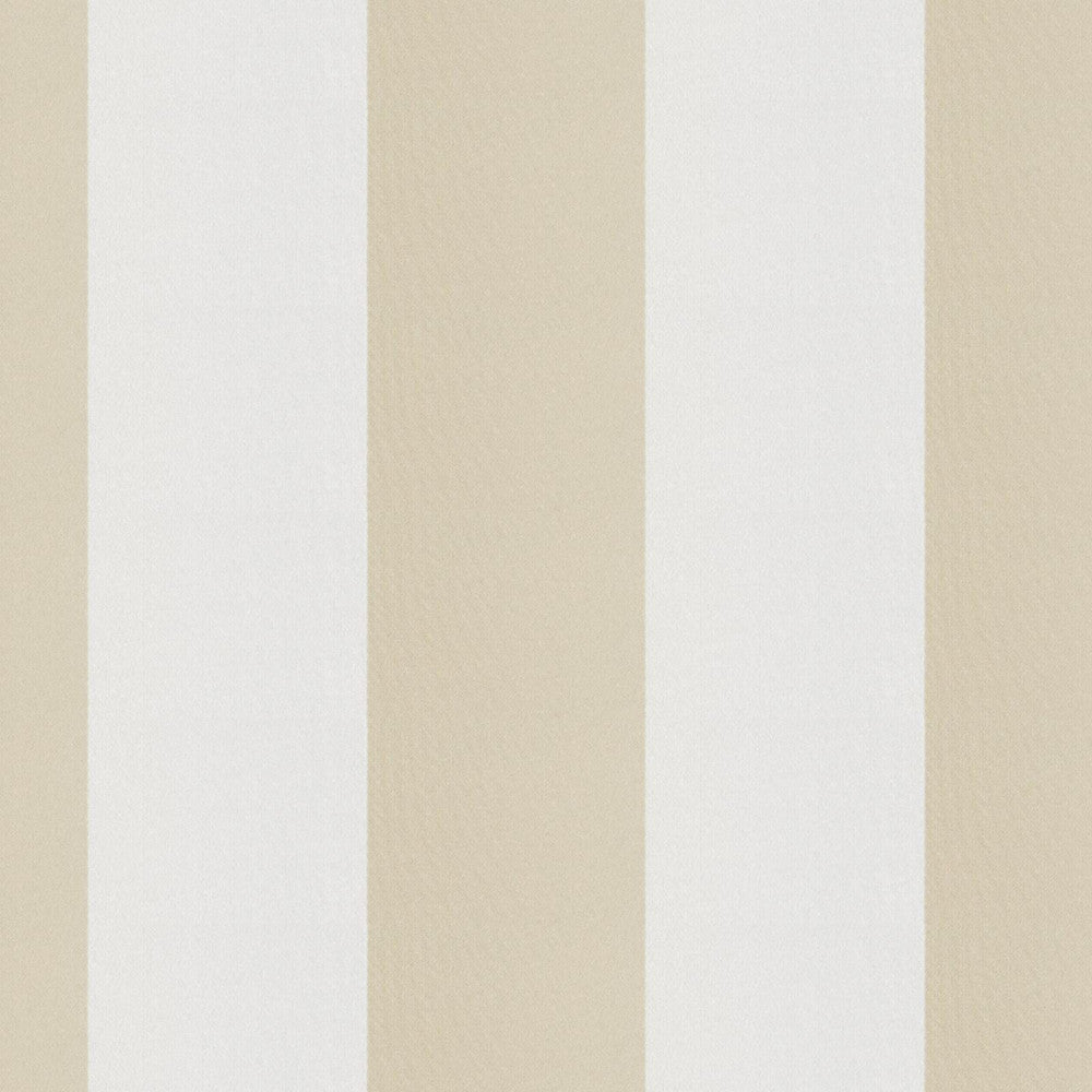 CIRQUE 12J9351 by JF Fabric CIRQUE 59% , 41% Polyester India Horizontal: 4 and Vertical: 56 - Fabric Carolina -