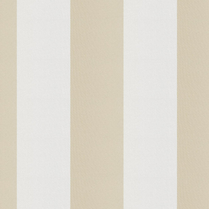 CIRQUE 12J9351 by JF Fabric CIRQUE 59% , 41% Polyester India Horizontal: 4 and Vertical: 56 - Fabric Carolina -