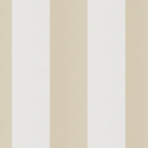 Cirque 12J9351 By JF Fabric
