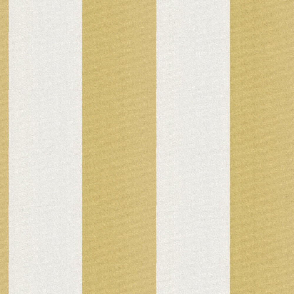 CIRQUE 15J9351 by JF Designer Fabric CIRQUE 59% , 41% Polyester India  Horizontal: 4 and Vertical:  56  - Swanky Fabrics -