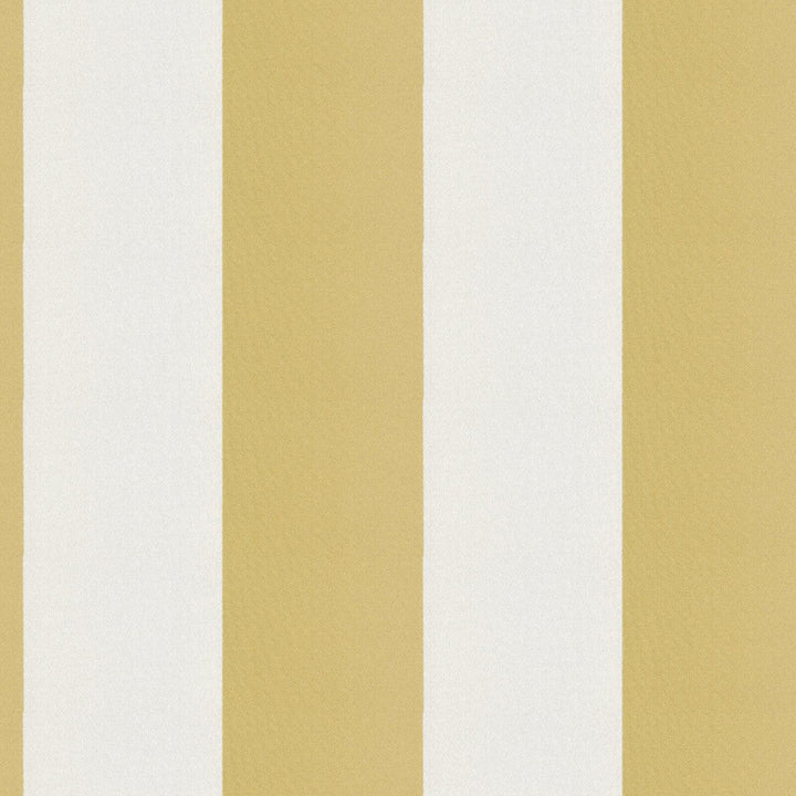 CIRQUE 15J9351 by JF Designer Fabric CIRQUE 59% , 41% Polyester India  Horizontal: 4 and Vertical:  56  - Swanky Fabrics -