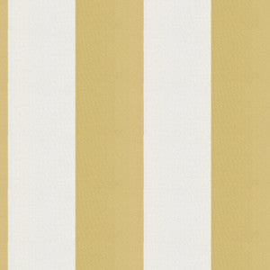 Cirque 15J9351 By JF Fabric