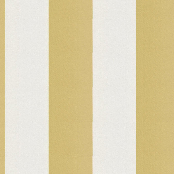 CIRQUE 15J9351 by JF Fabric CIRQUE 59% , 41% Polyester India Horizontal: 4 and Vertical: 56 - Fabric Carolina -