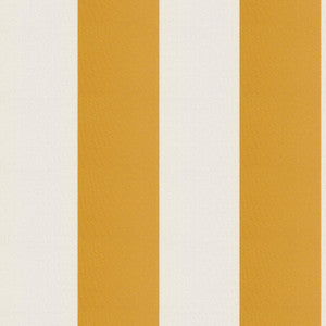 Cirque 26J9351 By JF Fabric