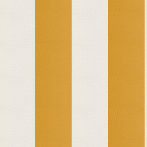 Cirque 26J9351 By JF Fabric