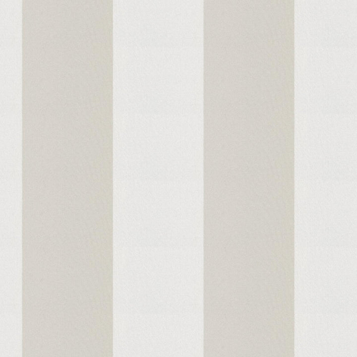 CIRQUE 31J9351 by JF Fabric CIRQUE 59% , 41% Polyester India Horizontal: 4 and Vertical: 56 - Fabric Carolina -