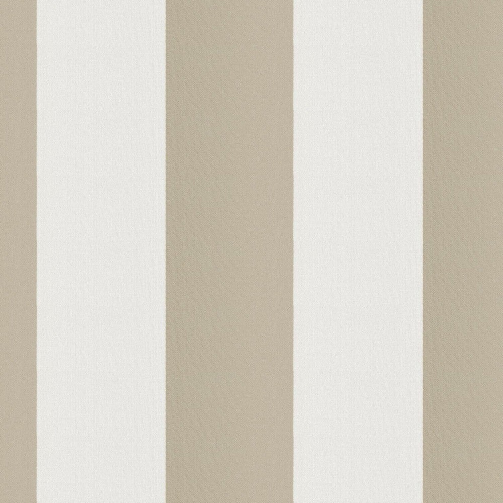 CIRQUE 32J9351 by JF Fabric CIRQUE 59% , 41% Polyester India Horizontal: 4 and Vertical: 56 - Fabric Carolina -