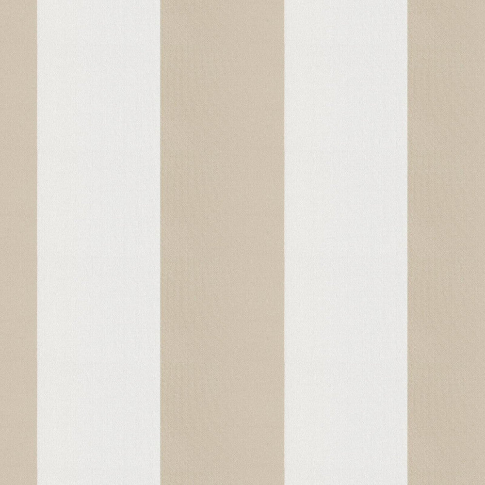 CIRQUE 34J9351 by JF Fabric CIRQUE 59% , 41% Polyester India Horizontal: 4 and Vertical: 56 - Fabric Carolina -