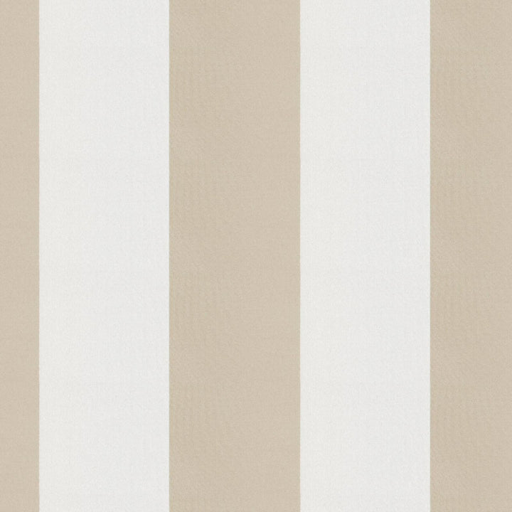 CIRQUE 34J9351 by JF Fabric CIRQUE 59% , 41% Polyester India Horizontal: 4 and Vertical: 56 - Fabric Carolina -