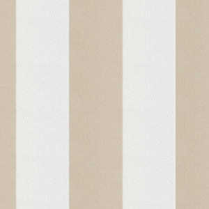 Cirque 34J9351 By JF Fabric