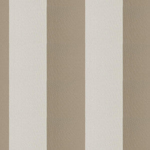 Cirque 35J9351 By JF Fabric