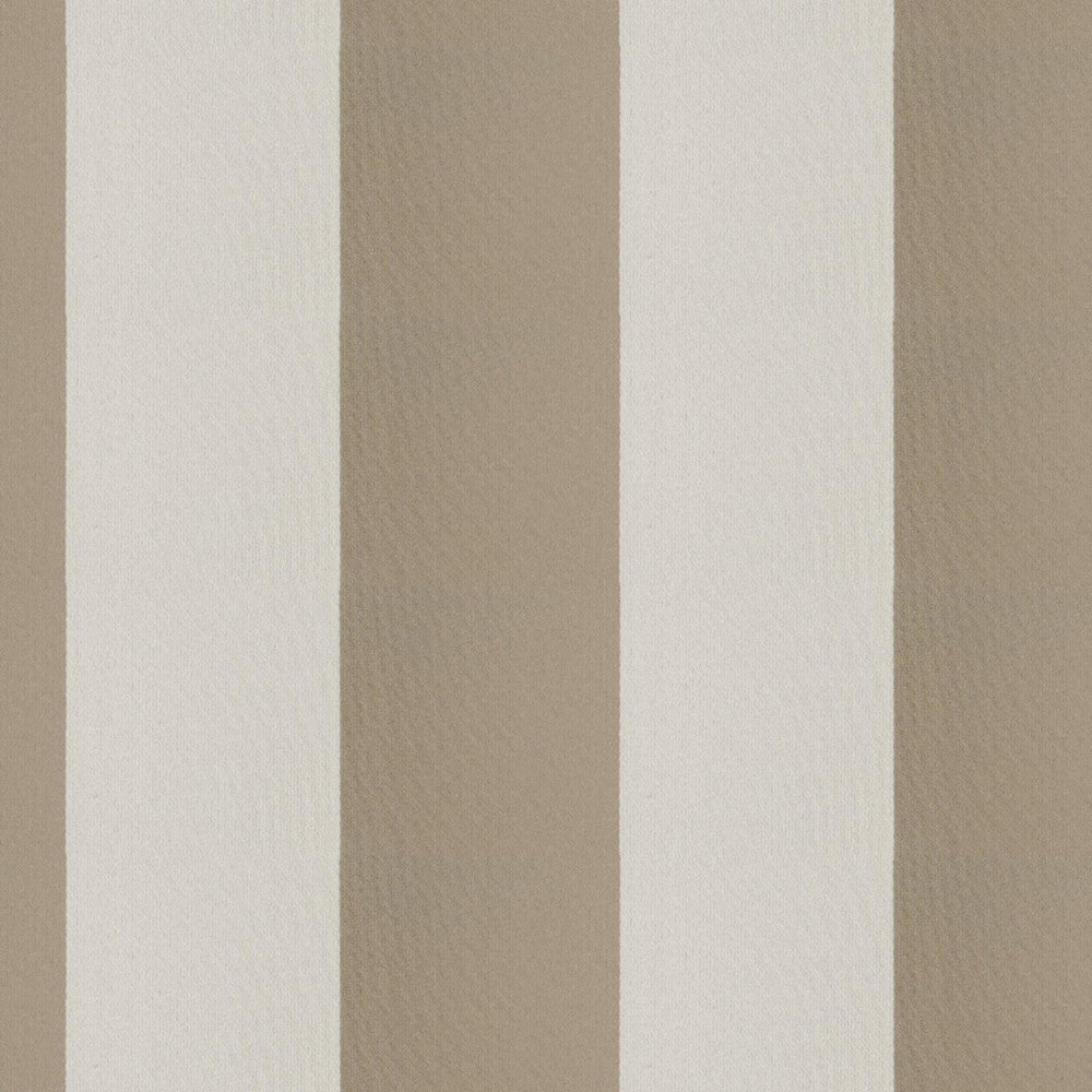 CIRQUE 35J9351 by JF Fabric CIRQUE 59% , 41% Polyester India Horizontal: 4 and Vertical: 56 - Fabric Carolina -