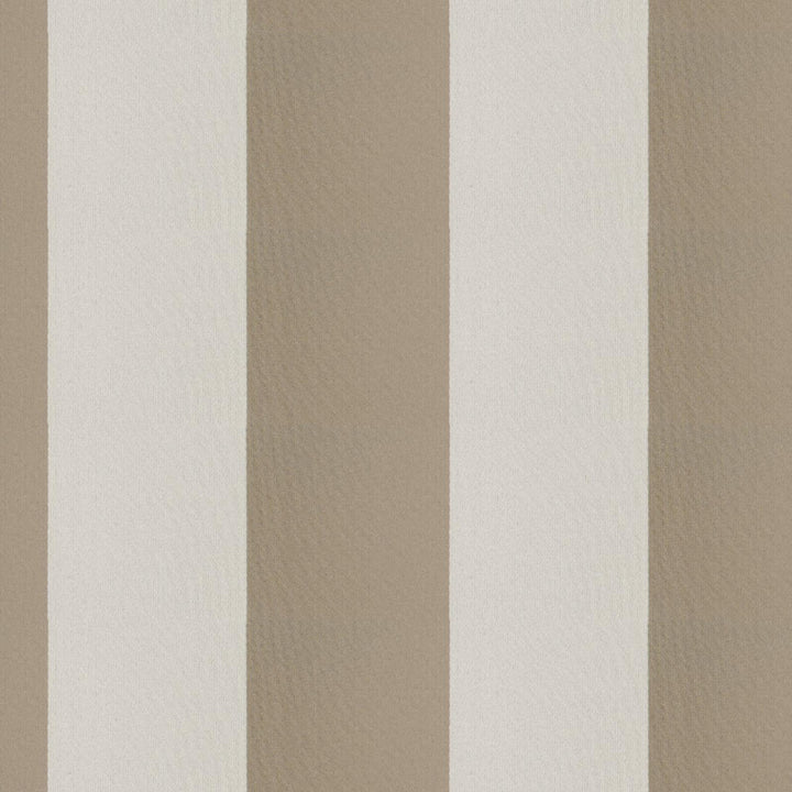 CIRQUE 35J9351 by JF Fabric CIRQUE 59% , 41% Polyester India Horizontal: 4 and Vertical: 56 - Fabric Carolina -