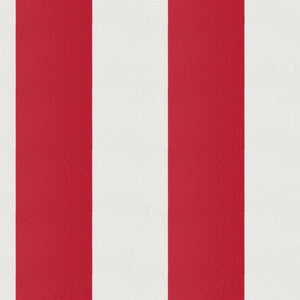 Cirque 47J9351 By JF Fabric