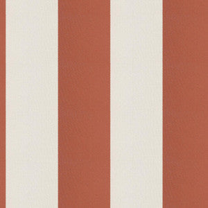 Cirque 48J9351 By JF Fabric