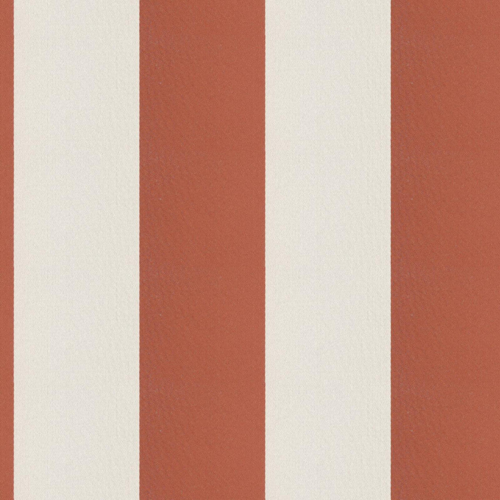 CIRQUE 48J9351 by JF Fabric CIRQUE 59% , 41% Polyester India Horizontal: 4 and Vertical: 56 - Fabric Carolina -