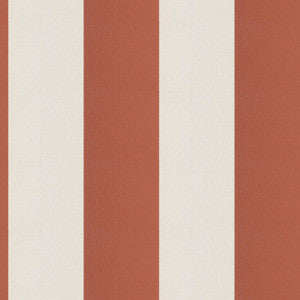 Cirque 48J9351 By JF Fabric