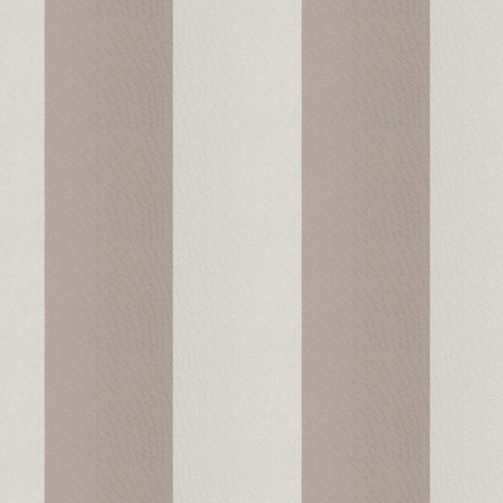 CIRQUE 52J9351 by JF Fabric CIRQUE 59% , 41% Polyester India Horizontal: 4 and Vertical: 56 - Fabric Carolina -