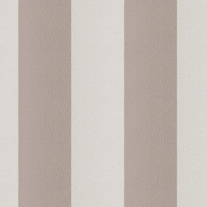 Cirque 52J9351 By JF Fabric