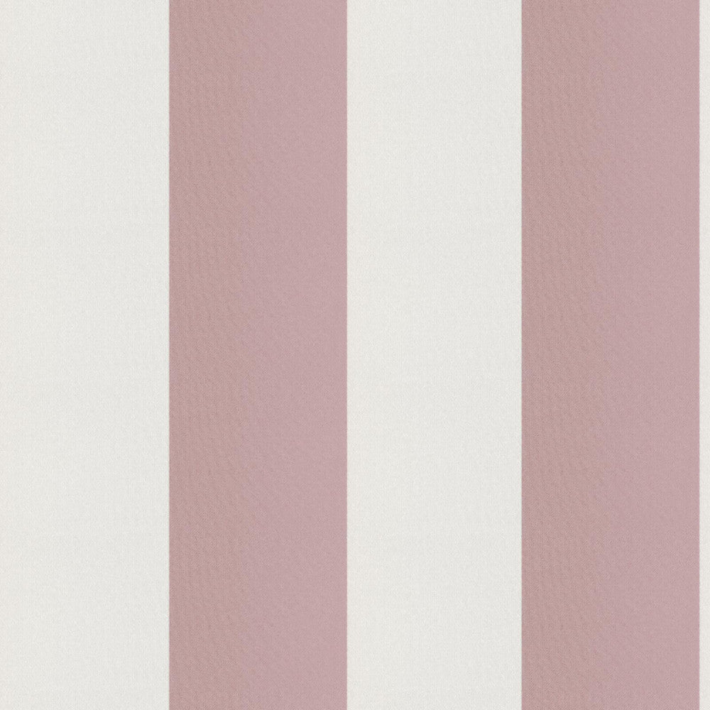 CIRQUE 53J9351 by JF Fabric CIRQUE 59% , 41% Polyester India Horizontal: 4 and Vertical: 56 - Fabric Carolina -