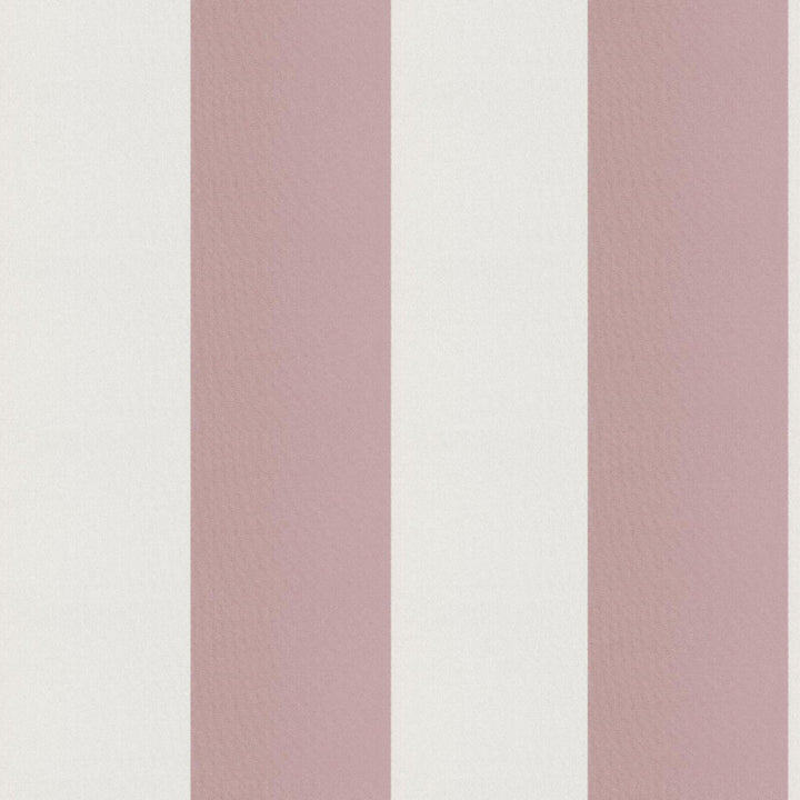 CIRQUE 53J9351 by JF Fabric CIRQUE 59% , 41% Polyester India Horizontal: 4 and Vertical: 56 - Fabric Carolina -