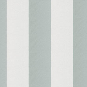 Cirque 63J9351 By JF Fabric